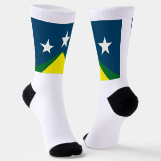 Johnson City (Tennessee) city flag Socks