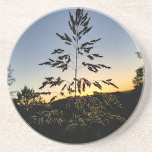 Johnson Grass Coaster