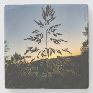 Johnson Grass Stone Coaster