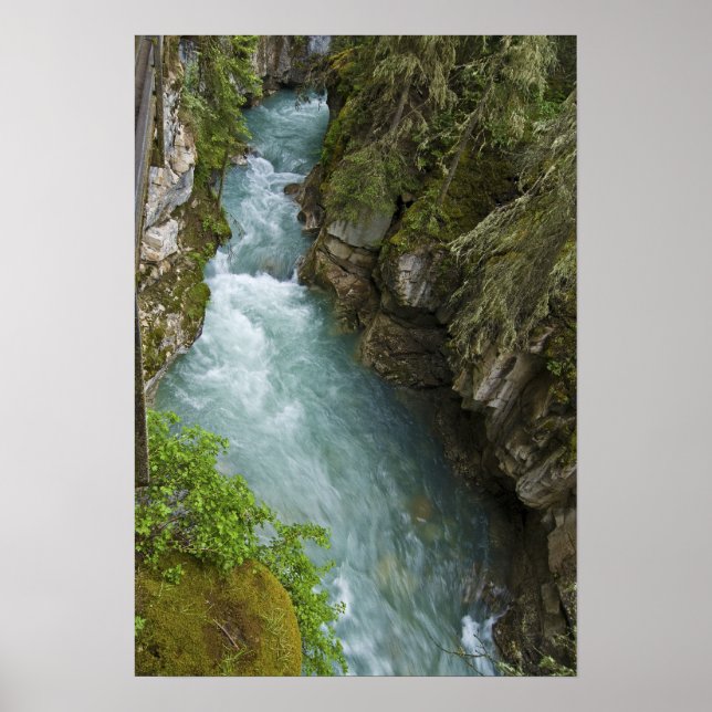 Johnston Canyon Poster (Front)