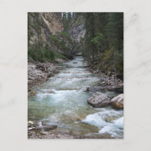 Johnston Canyon Step Falls Postcard