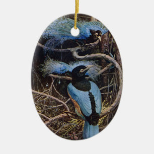 Johnston Vintage Blue Bird Paradise Illustration Ceramic Ornament