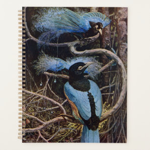 Johnston Vintage Blue Bird Paradise Illustration Planner