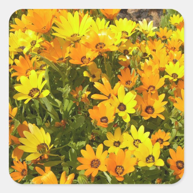 Joie de Vivre (1)  Stickers (Front)