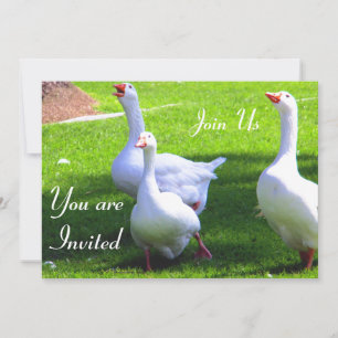 Join Us_ Invitation