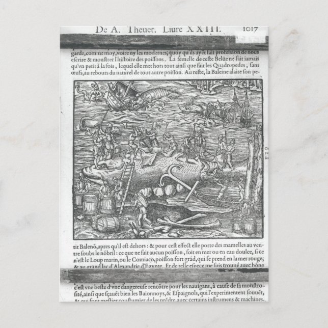 Jointing a whale postcard (Front)