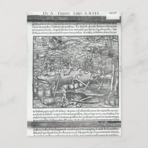 Jointing a whale postcard