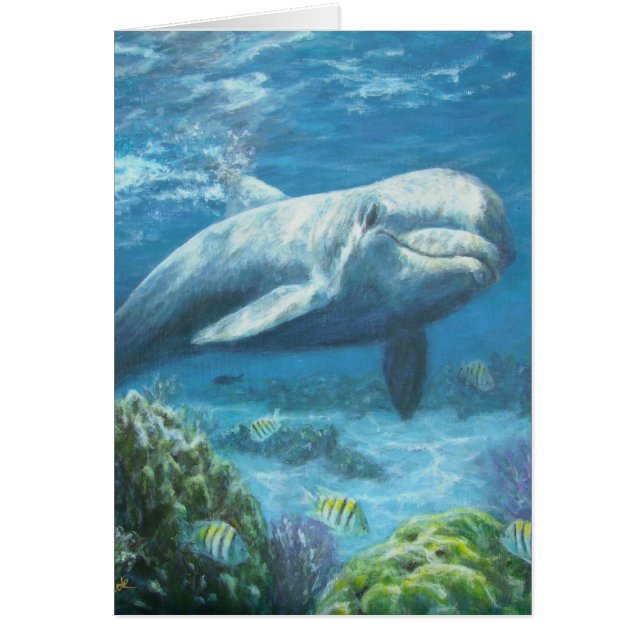 jojopaintings (Front)