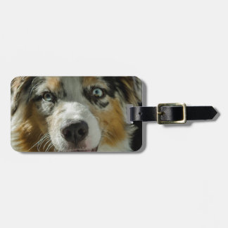 Joker Boy Luggage Tag