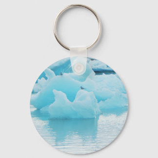 Jökulsárlón terns key ring