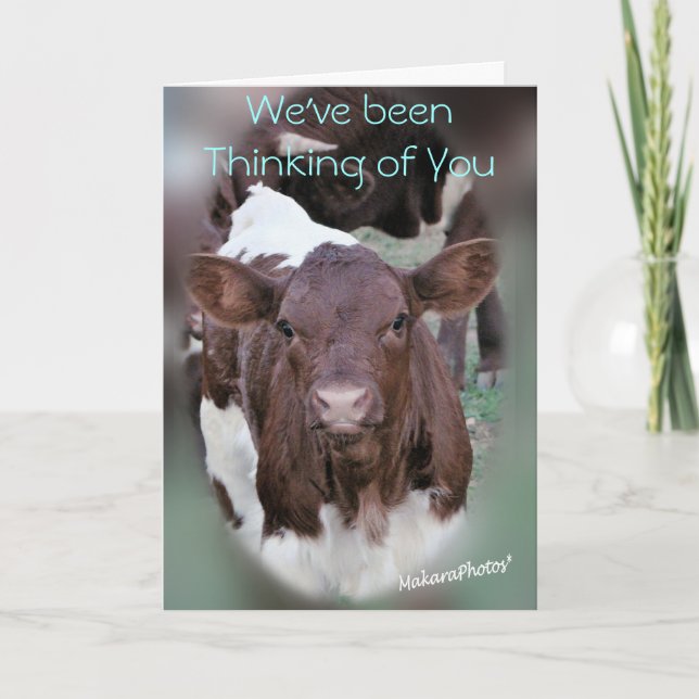 JolCrd-GetWell or Sympathy-customise Card (Front)