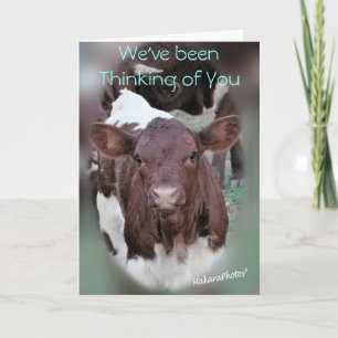 JolCrd-GetWell or Sympathy-customise Card