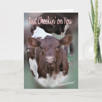 Jolee-Thinking of You-or other occasions-customise