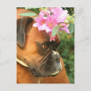Jolie flower girl postcard