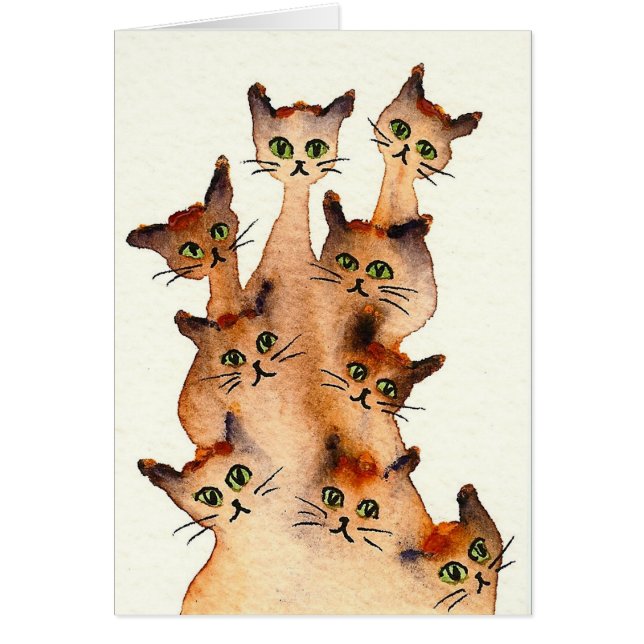 Joliet Whimsical Cats (Front)