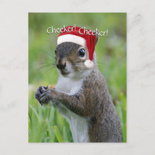 Jolly Florida Santa Squirrel™ Wearing Santa Hat Holiday Postcard