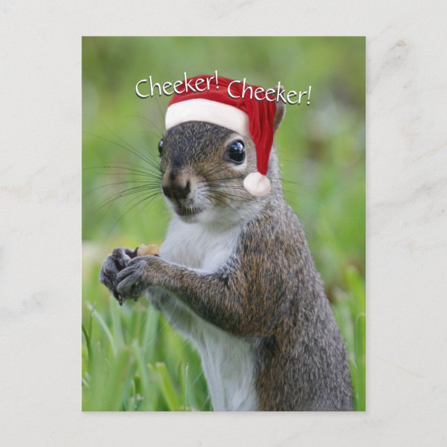 Jolly Florida Santa Squirrel™ Wearing Santa Hat Holiday Postcard (Front)