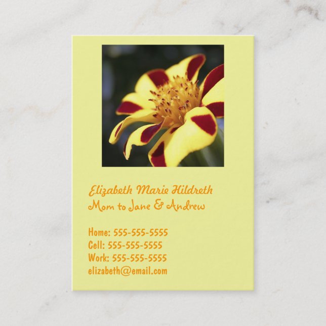 Jolly Jester Marigold - Mum calling cards template (Front)