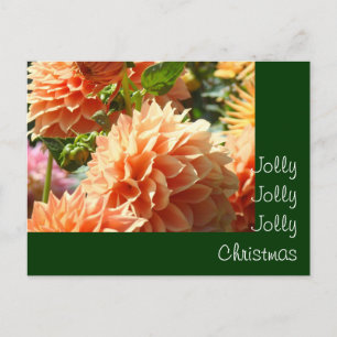 Jolly Jolly Jolly Christmas postcards Dahlias