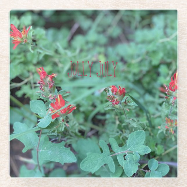 JOLLY JULY GLASS COASTER (Front)