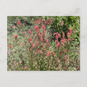 Jolly July Postcard