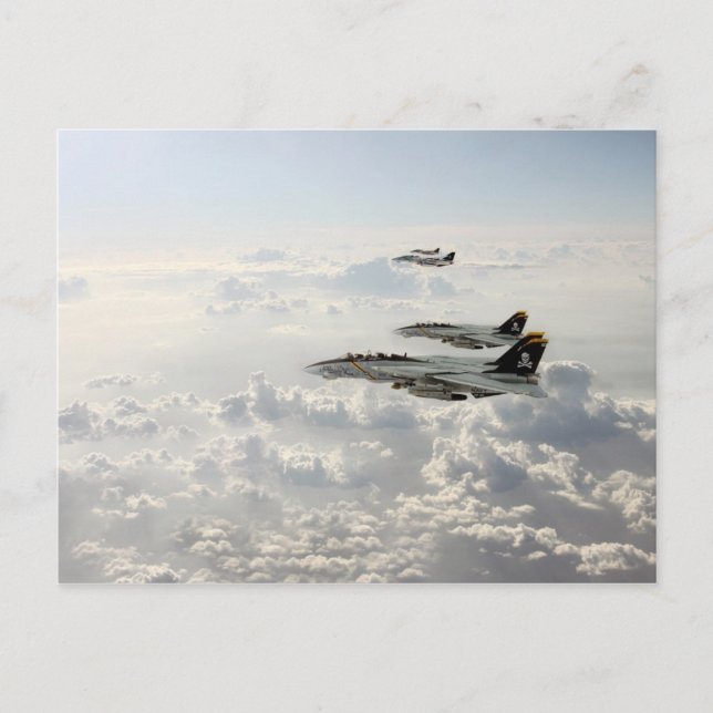 Jolly Rogers Postcard (Front)