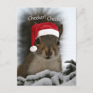 Jolly Squirrel Wearing Santa Hat • Santa Squirrel Holiday Postcard