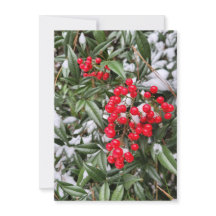 Jolly Winter Berry Christmas season greeting card