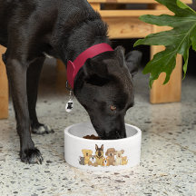 JollyKins Dogs & Cats