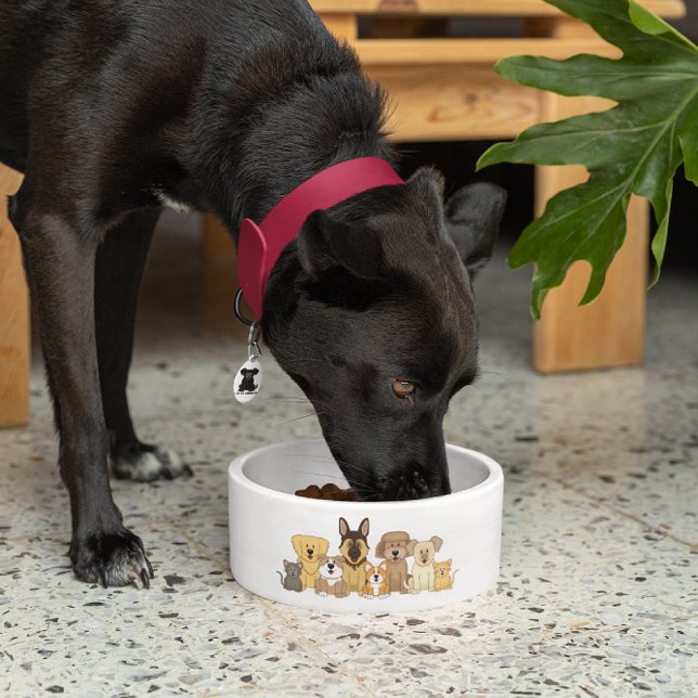 JollyKins Dogs & Cats (Creator Uploaded)