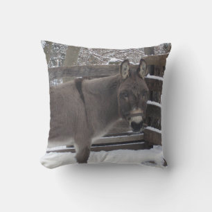"Jonathan" Cushion