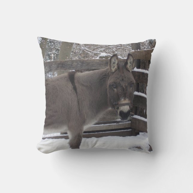 "Jonathan" Cushion (Front)