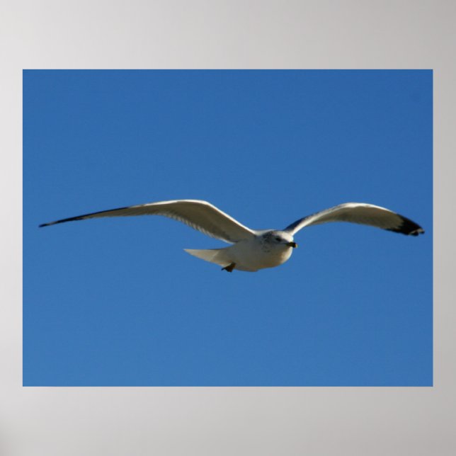 Jonathan Poster (Front)