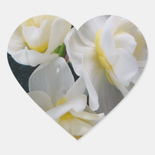 Jonquil Flower - Ecclesiastes 3:1 Heart Sticker