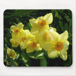 Jonquils/Daffodils/Narcissus Mouse Pad