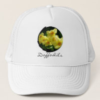 Jonquils/Daffodils/Narcissus