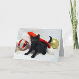 Joon's Christmas- Cat / Kitten - Folded Card