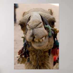 Jordan, Ancient Nabataean city of Petra Poster