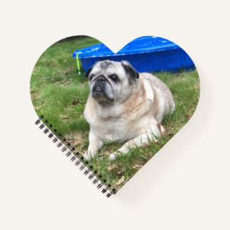 Jordan Pugs & Kisses Heart-Shaped Notebook