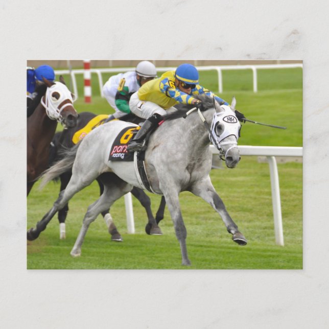 Jose Ortiz on Fast and Accurate Postcard (Front)