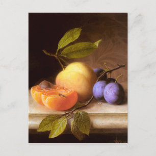 Joseph Peter Wilms - Peaches and Plums Postcard
