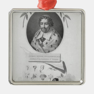 Joseph Pitton de Tournefort Metal Tree Decoration