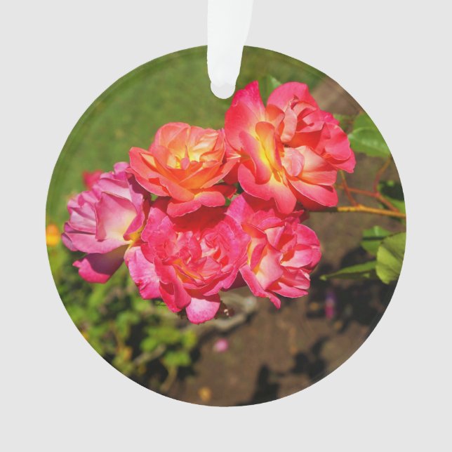 Joseph’s Coat Rose #1 Ornament (Front)