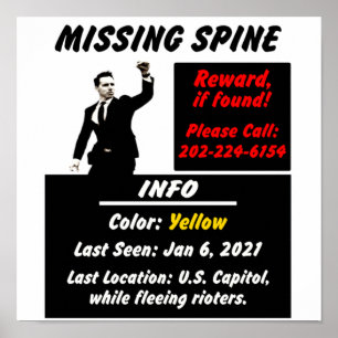Josh Hawley Missing Spine Blk Design Poster