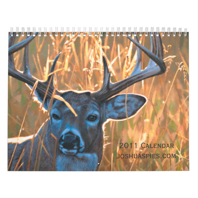 Joshua Spies 2011 Calendar (Cover)