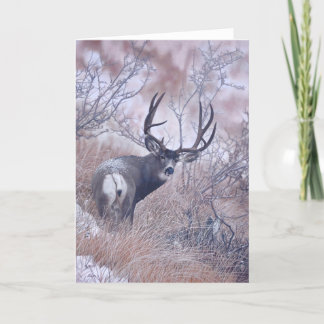 Joshua Spies Note Card