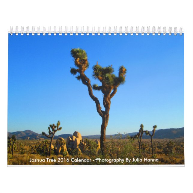 Joshua Tree 2018 By Julia Hanna Calendar (Cover)