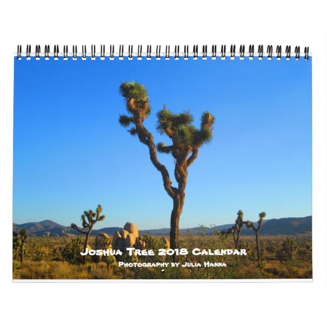 Joshua Tree 2018 By Julia Hanna Calendar (Cover)