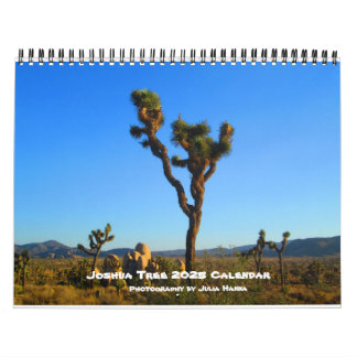 Joshua Tree 2022 By Julia Hanna Calendar