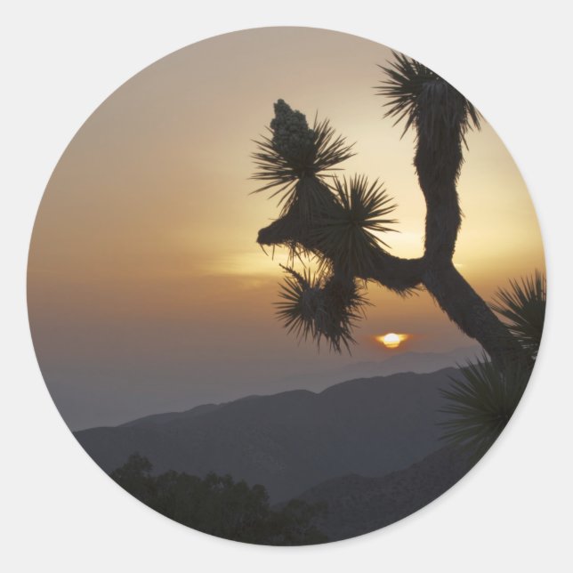 Joshua Tree at sunset Classic Round Sticker (Front)